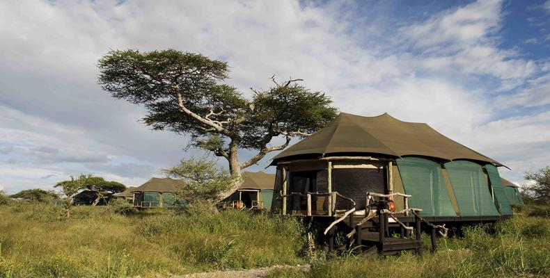 Masek Tented  Lodge - Ngorongoro - Serengeti
